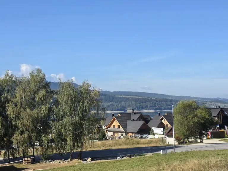 Brzozy nad Jeziorem Czorsztyńskim przy półwyspie Stylchyn